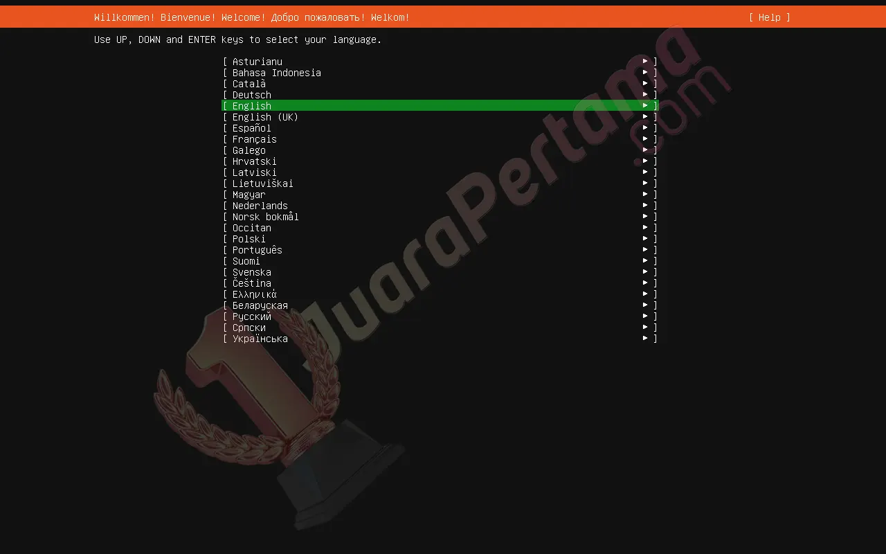 Instalasi Ubuntu Server di VirtualBox - Setup 2