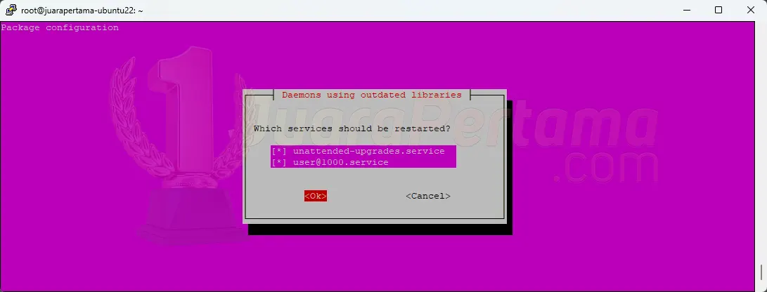 Install aaPanel di Ubuntu 22.04 - Newer Kernel 2